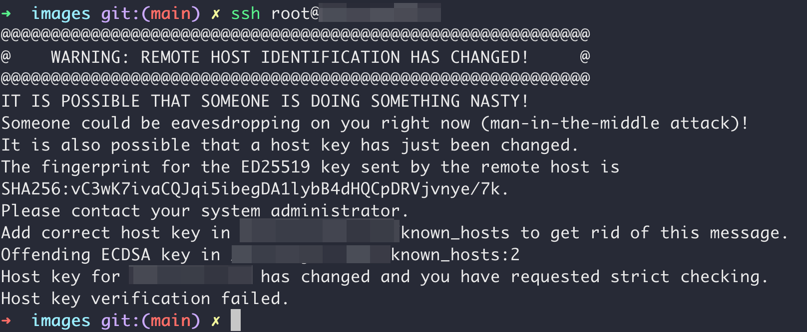 image-20240119143252927